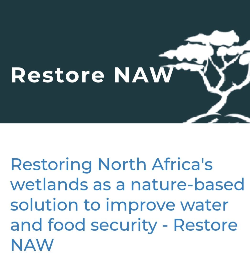 Last technical visit in EU from North African countries on NBS for wetland restoration and preservation